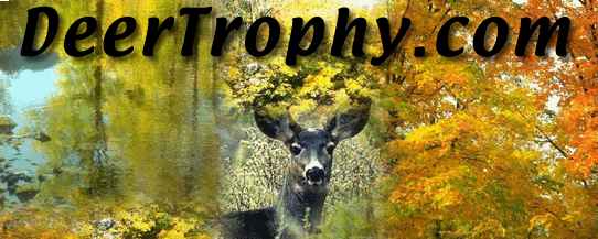 DeerTrophy.com forest logo